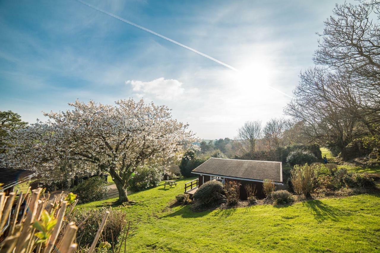 Timber Hill Self Catering Cedar Lodges Broad Haven Exterior photo